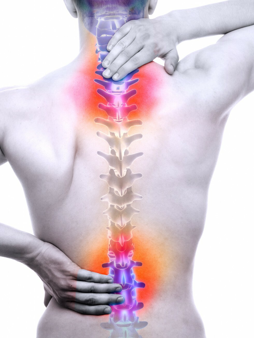 art of highlighted points on a person's spine